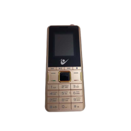 Téléphone portable Smart X2